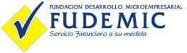 FUDEMIC